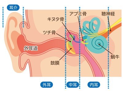 中耳炎とは